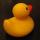 ugly_duck